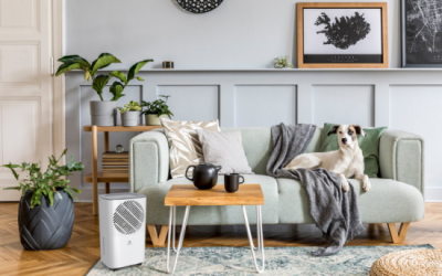 Осушитель воздуха серии CARISMA Studio RD-CR10-E