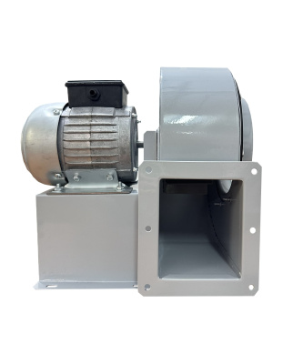 Вентилятор радиальный BURAN PRO 200 220V Лв0 2полюс ERA PRO